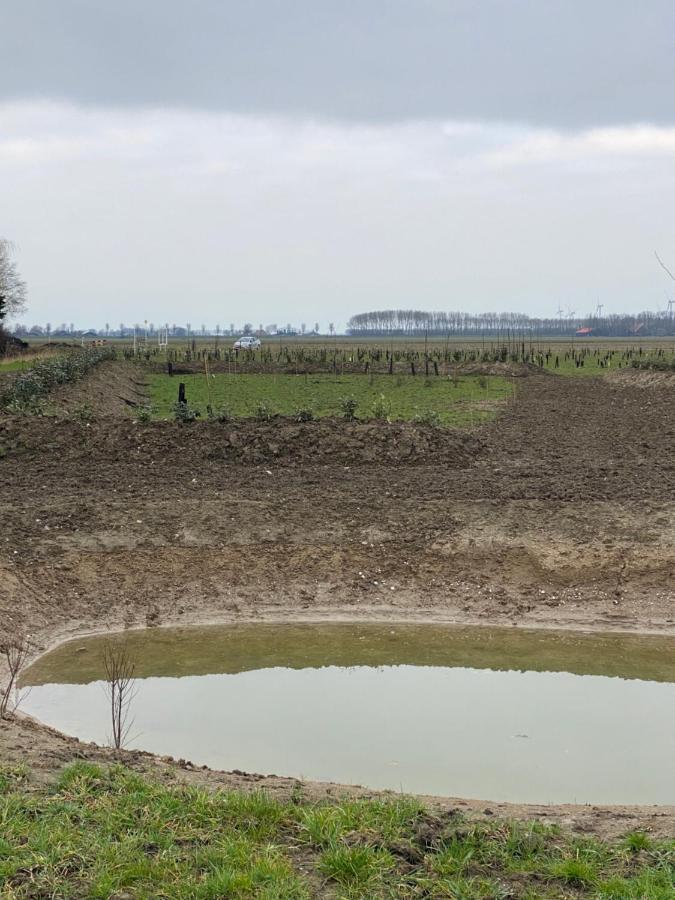 Natuurhuisjes Lust En Last Sommelsdijk Екстериор снимка